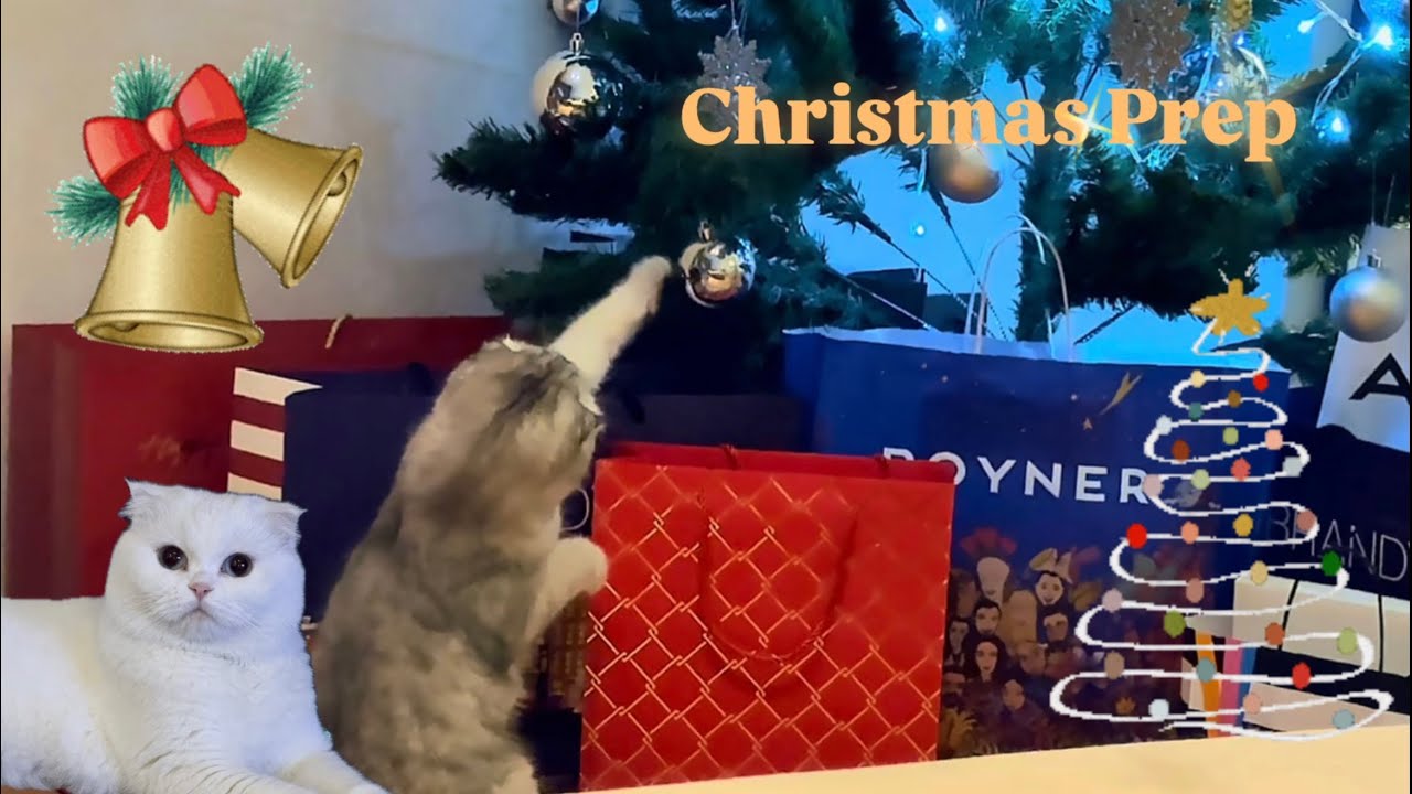 Quick Christmas Shopping & Decorating the Tree 🎄✨