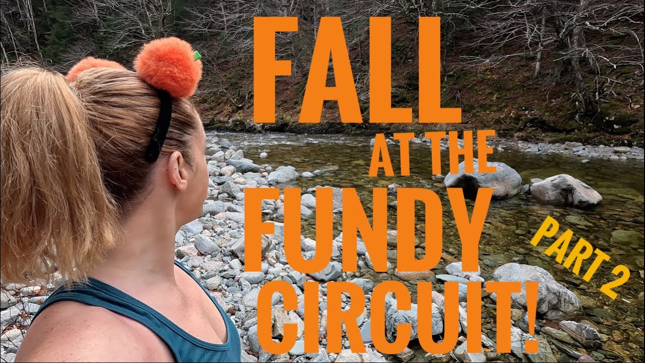 PART 2!  FUNDY CIRCUIT, late FALL, SOLO Hiking & Camping in the BACKCOUNTRY in NEW BRUNSWICK