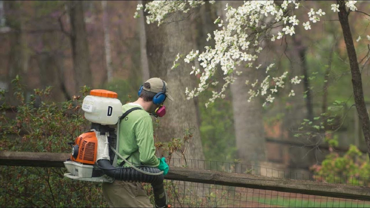 Yard Mosquito Control in Houston Texas