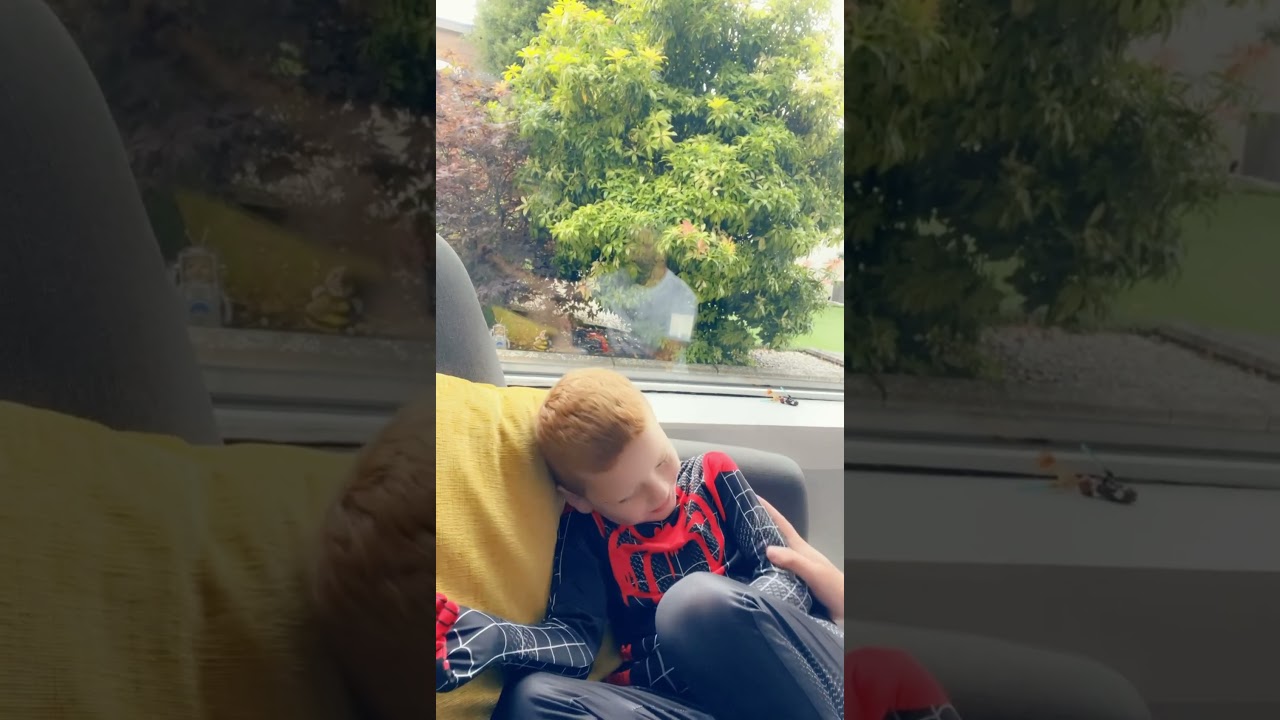 Scary Sleeping Boy Funny Spider Prank 🕷️#spider #prank