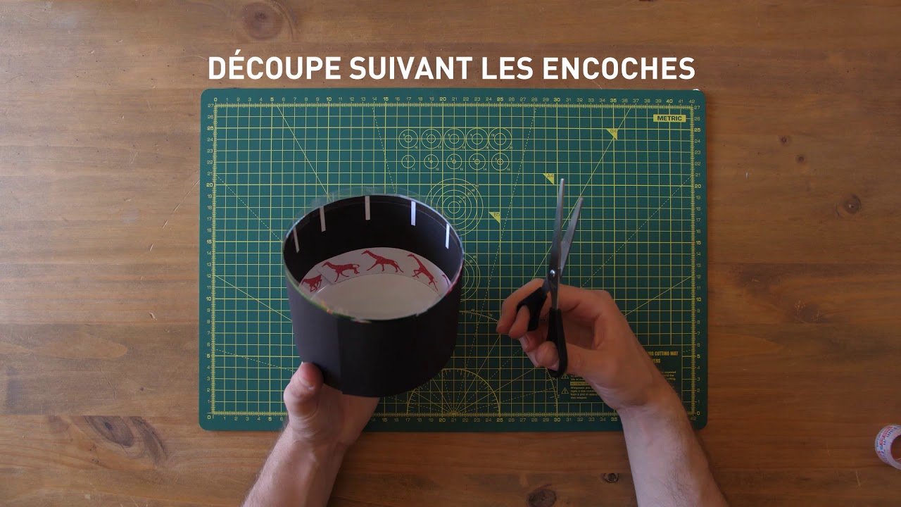 TUTO MAILLON Zootrope
