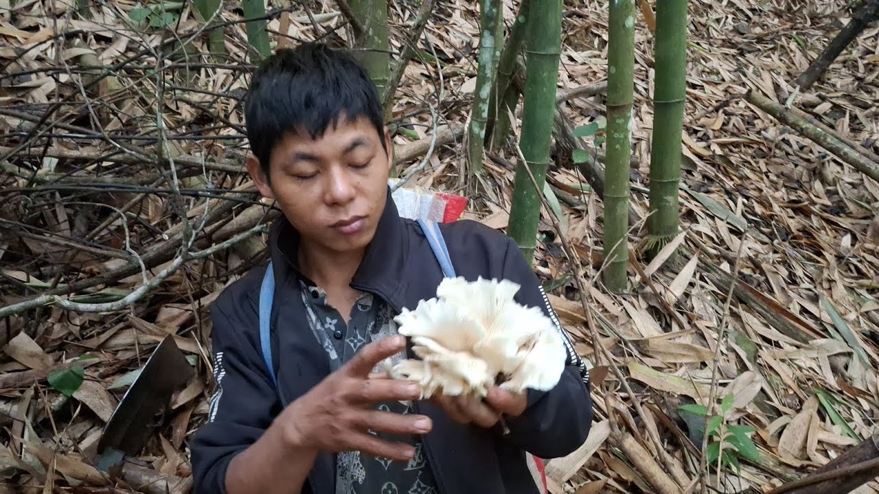 2 vợ chồng cháu đi đào măng gặp nấm lạ |Em Trai Sính 1 Chân