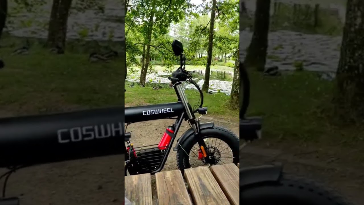 coswheel t20 и отдых в парке