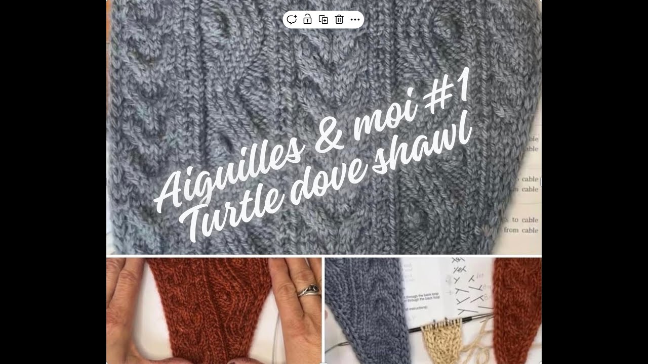 Turtle dove shawl -1 Aiguilles & moi du 30 mars 2024 @Malainemaison
