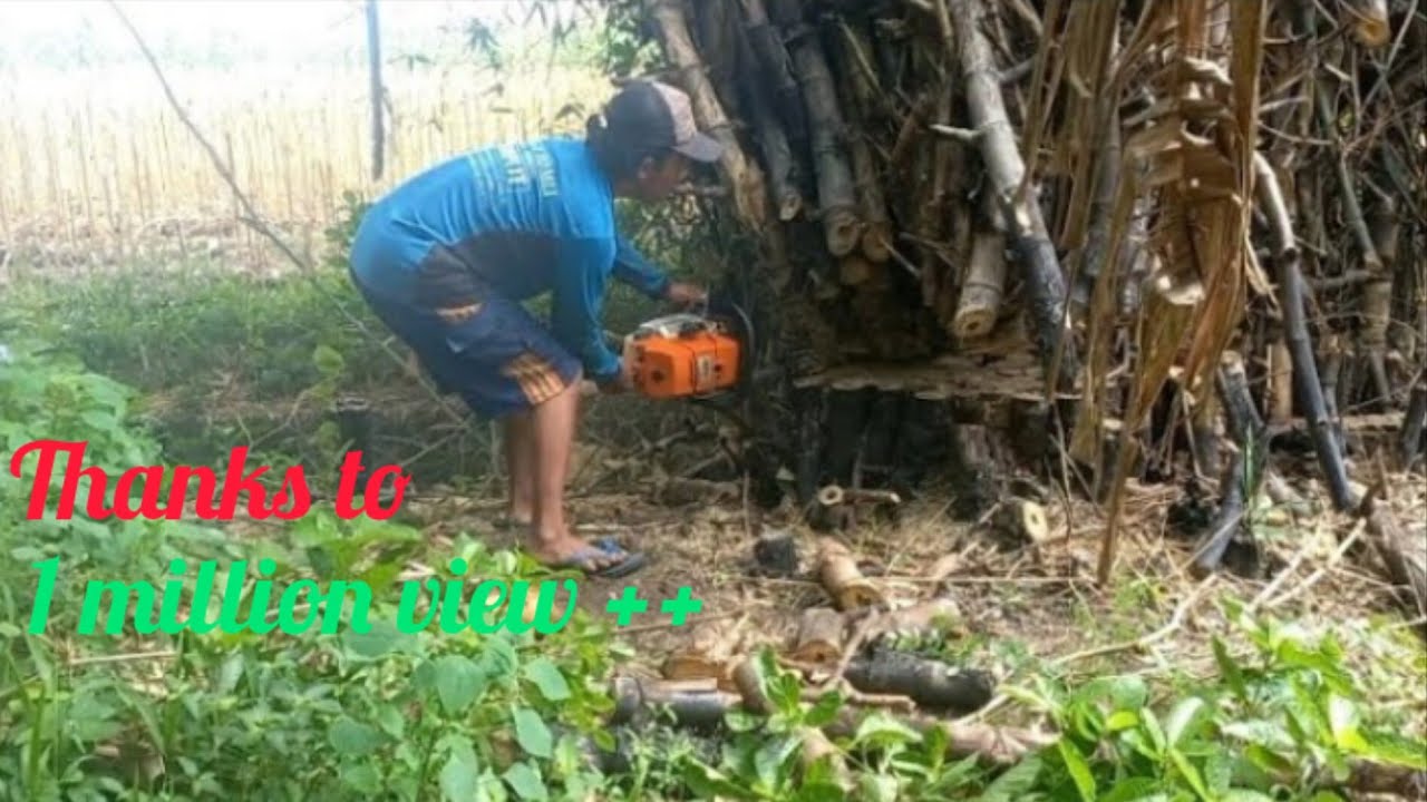 Sudah berhati² tetap saja terjepit,potong rimbunan bambu duri dengan mesin stihl ms 660 rantai 404