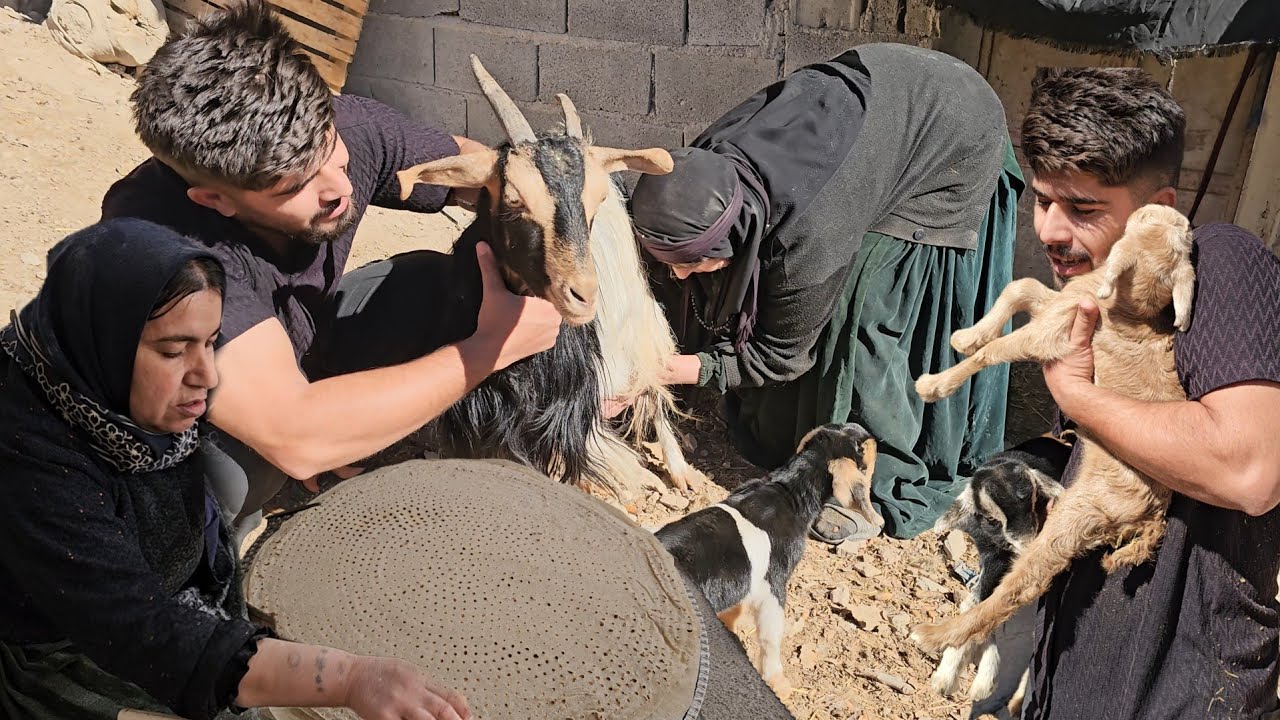 🏡 Rural Life Explorer: Saleh Family's Village Days | Fresh Bread & Baby Goats Daily Stories 🐐