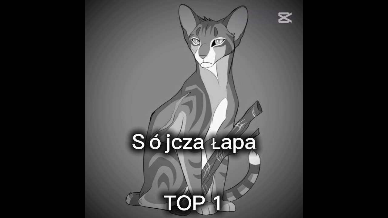 Jak coś jestem w trakckie Zaćmienia w 3 serii #amigra #warriors #warriorcats