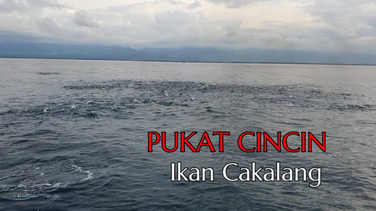 Begini Proses Nelayan Aceh Menangkap Ikan Cakalang Di Sore Hari  dari awal hingga akhir|| KM.SEPAKAT