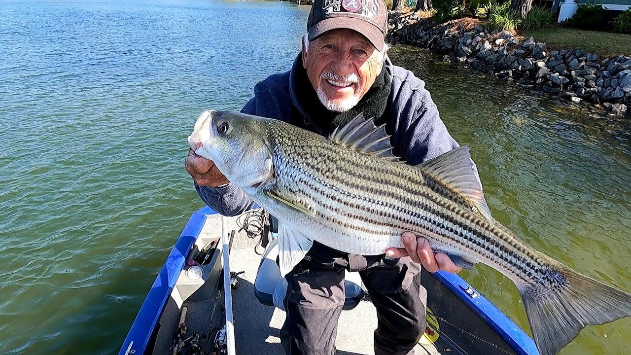 Day 2 Killing The Stripers Casting Swim Baits