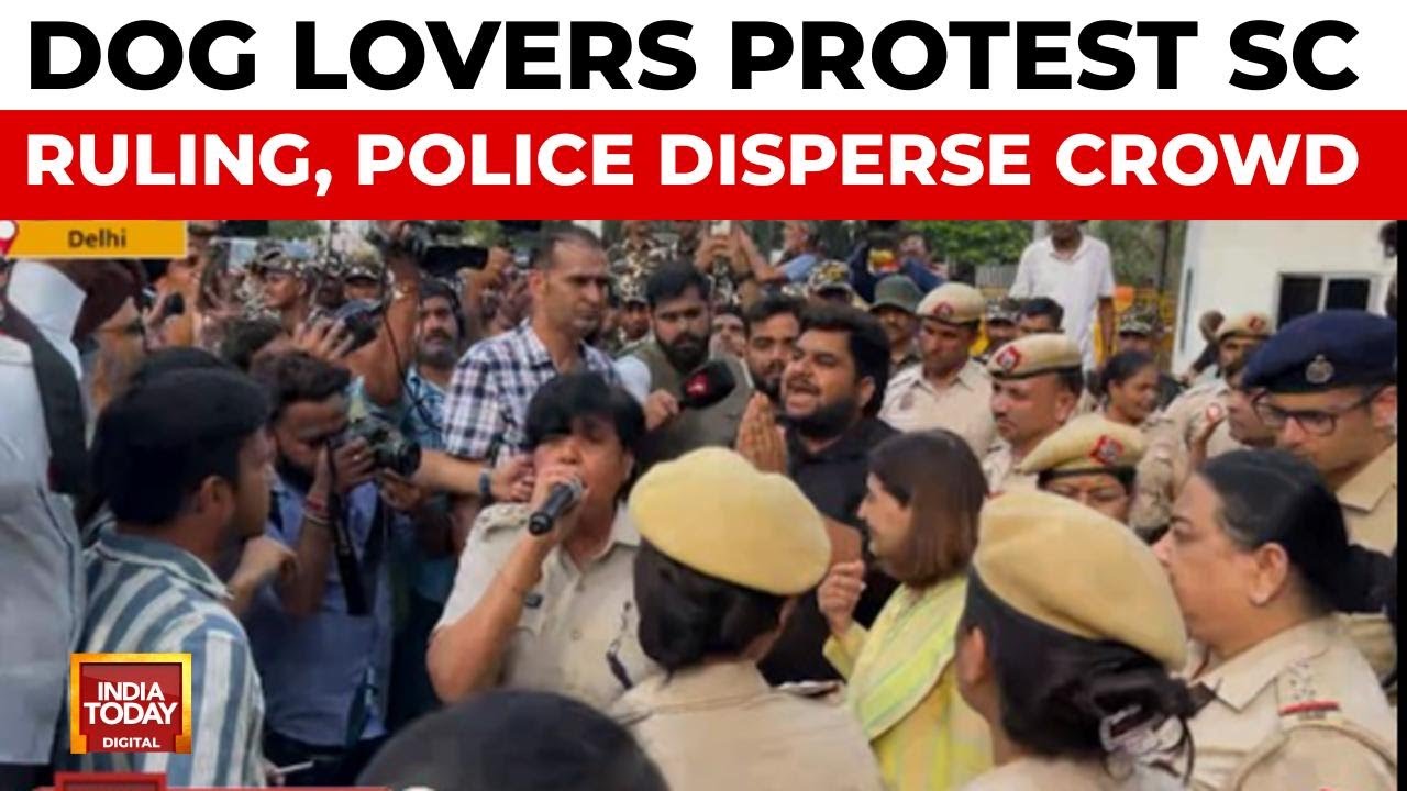 Dog Lovers Protest SC Ruling on Relocation; Police Disperse Crowd Amid Round-ups