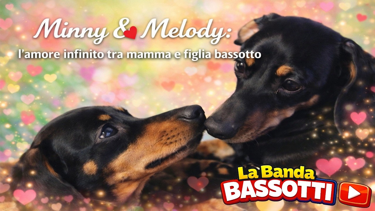 Minny & Melody: l’amore infinito tra mamma e figlia bassotto 🐶💞