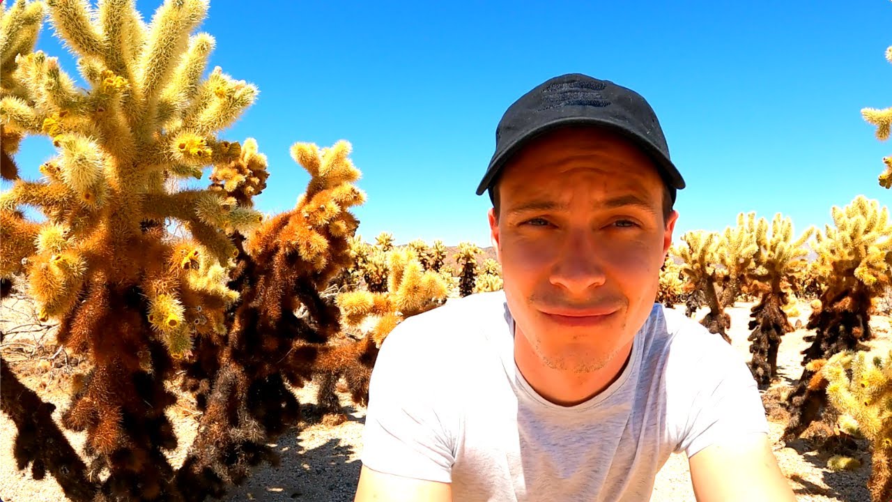 Ztracen v poušti | víkend v Joshua Tree 🌵