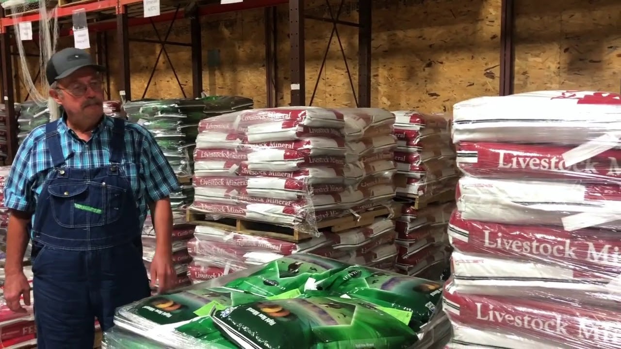 Fly Protection is Essential for Your Cows