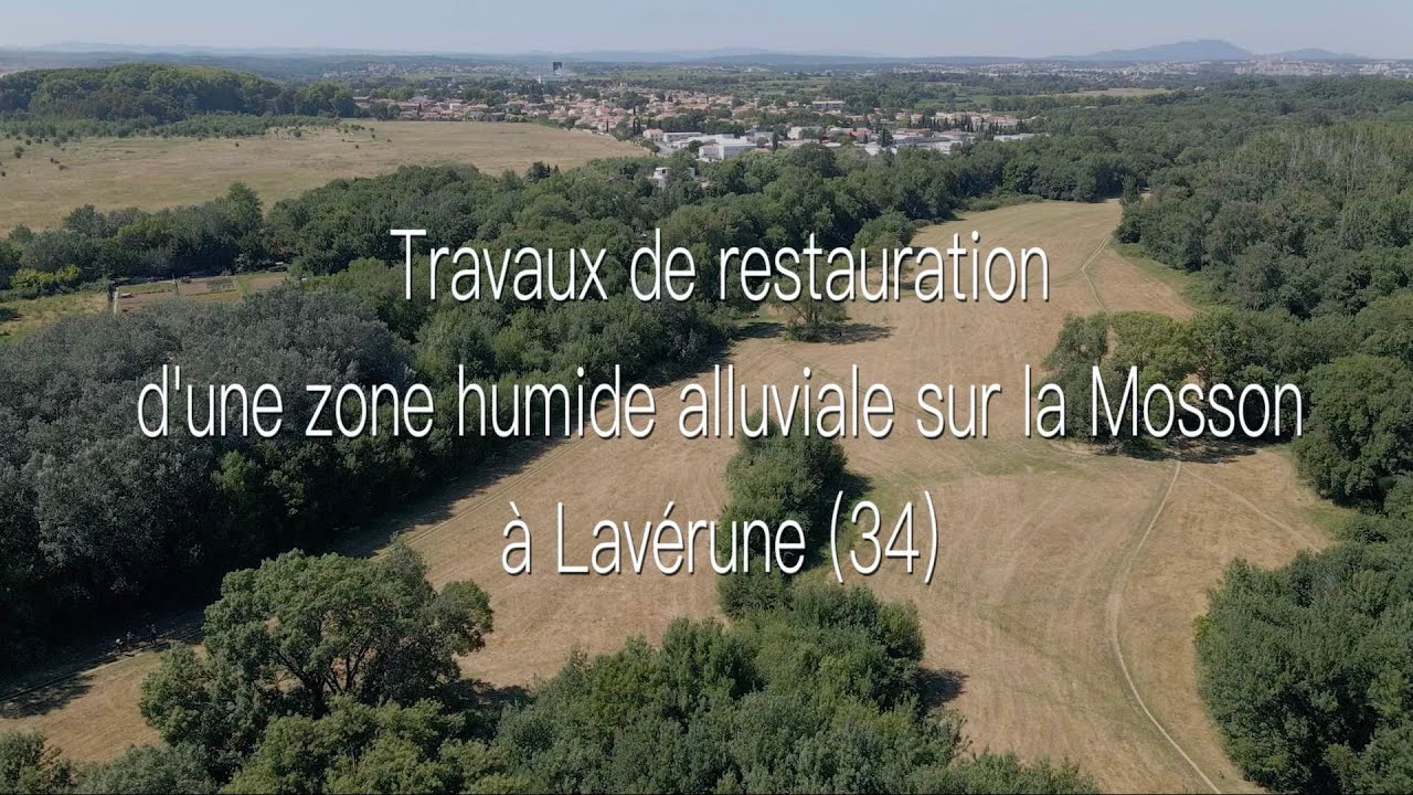 Travaux de restauration d'une zone humide alluviale à Lavérune (34) épisode 1