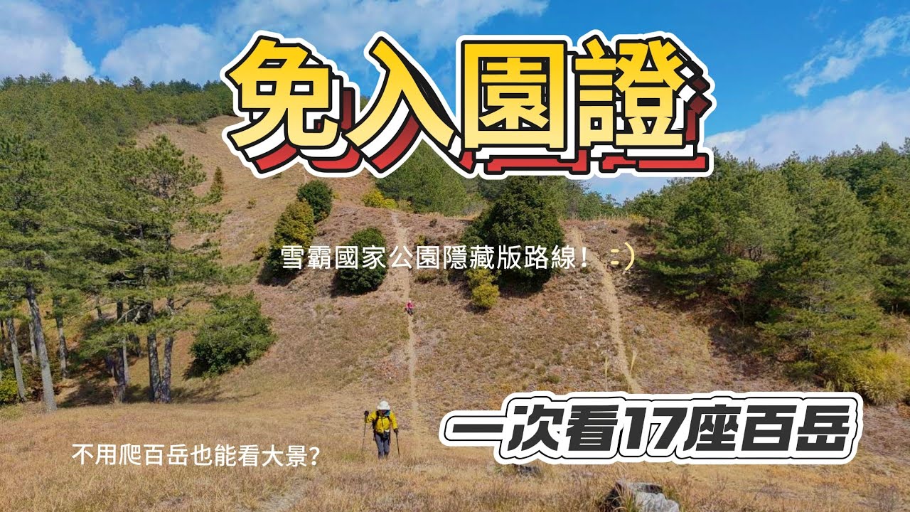20260208|馬武霸山|五星級療癒松針林道|百岳景觀台|銳鳥國際