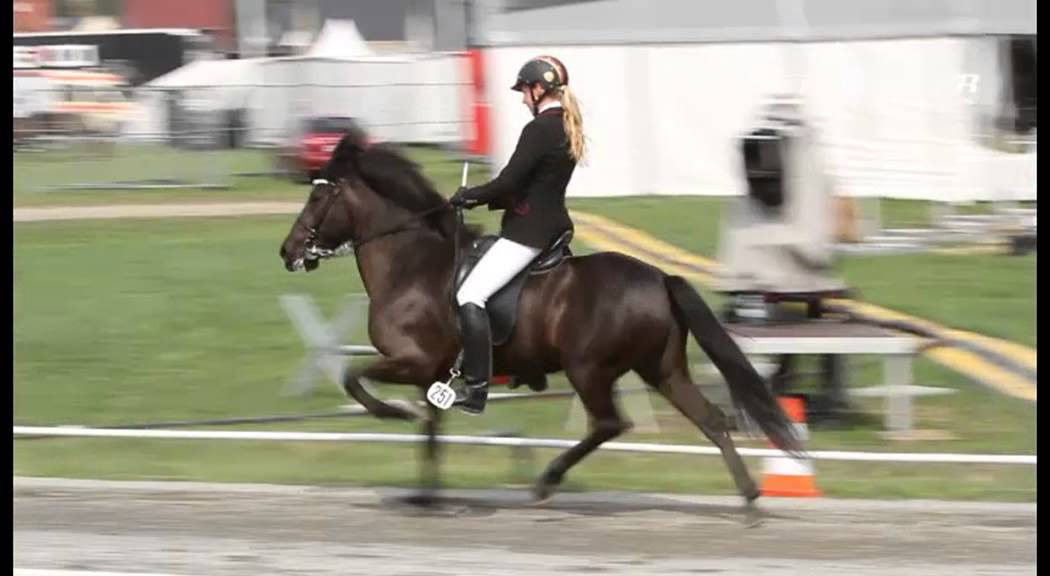 &Oacute;skad&iacute;s vom Habichtswald yfirlit