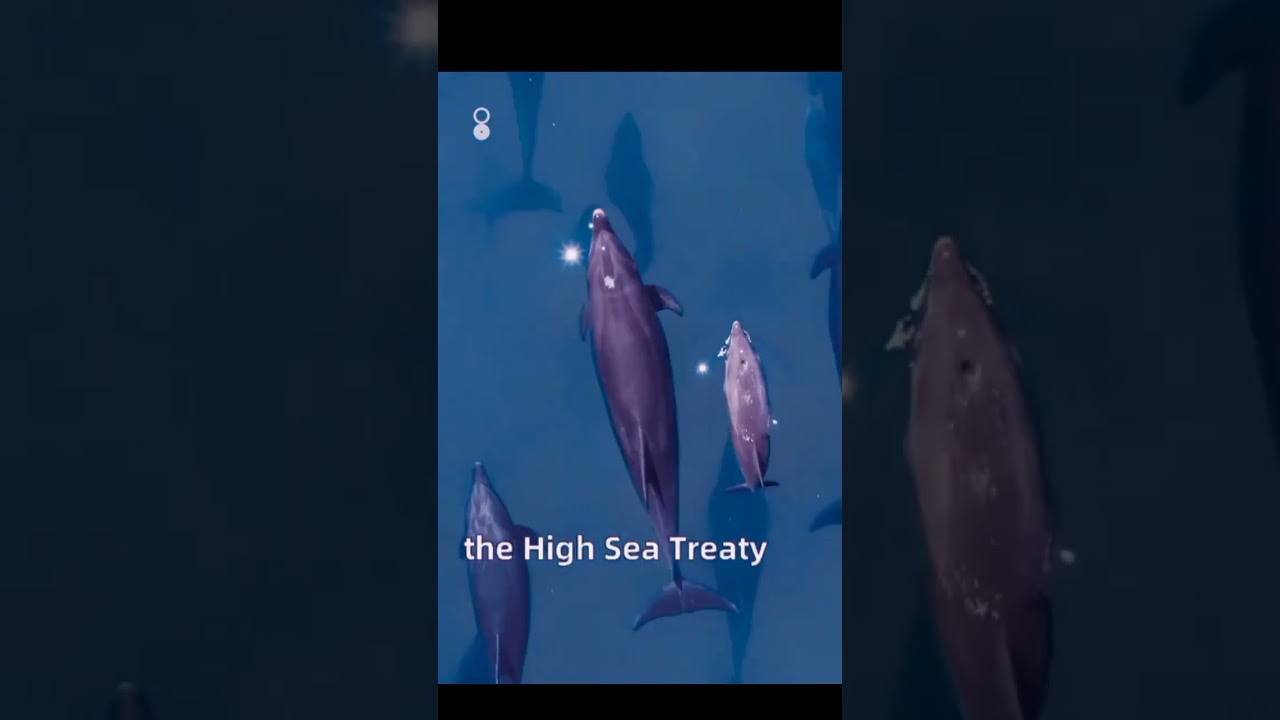 Save the sea 