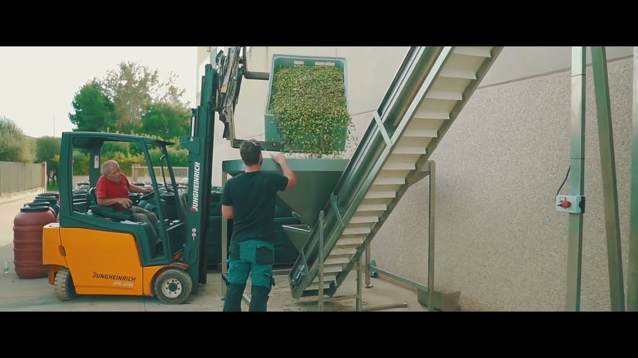 Lavorazione olive da tavola - processi moderni e prodotti tipici