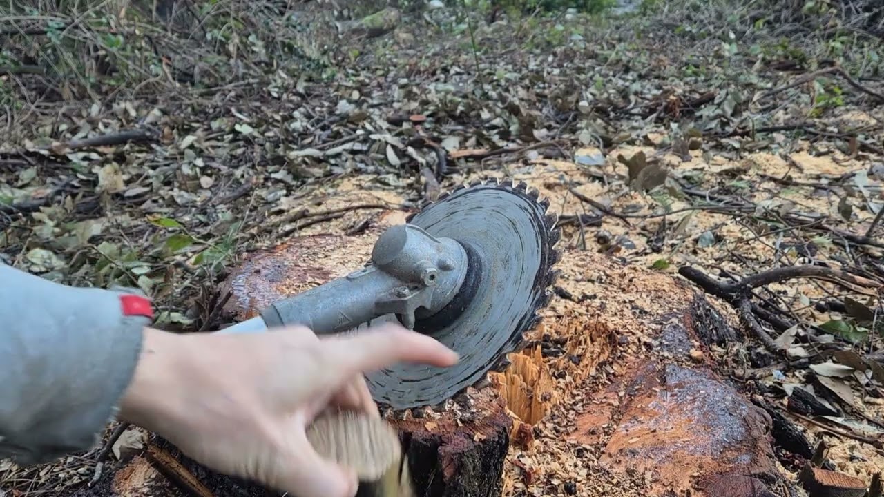 Stihl cirkular za trimer. Recenzija, iskustvo, savjeti, kori&scaron;tenje.