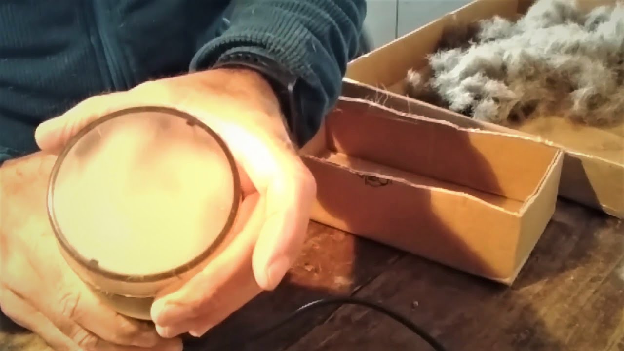 Donde hay pelo, hay alegría.