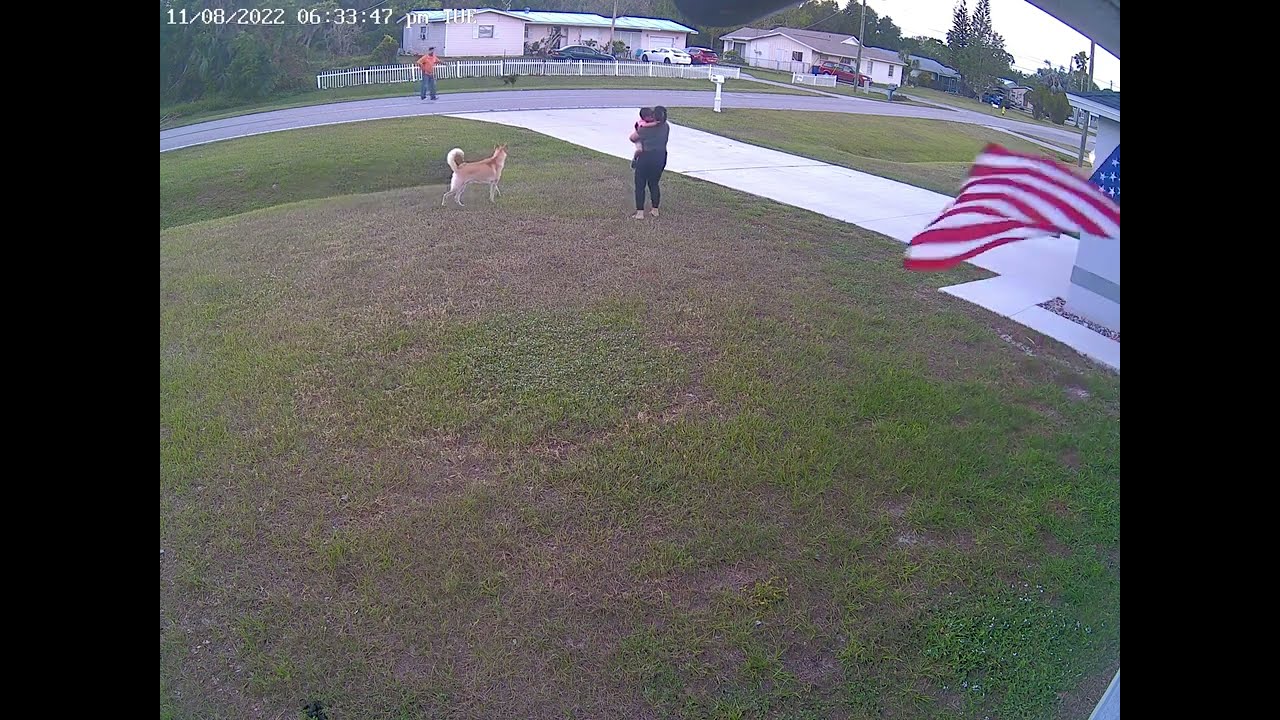 German Shepherd Protects His Boy || ViralHog