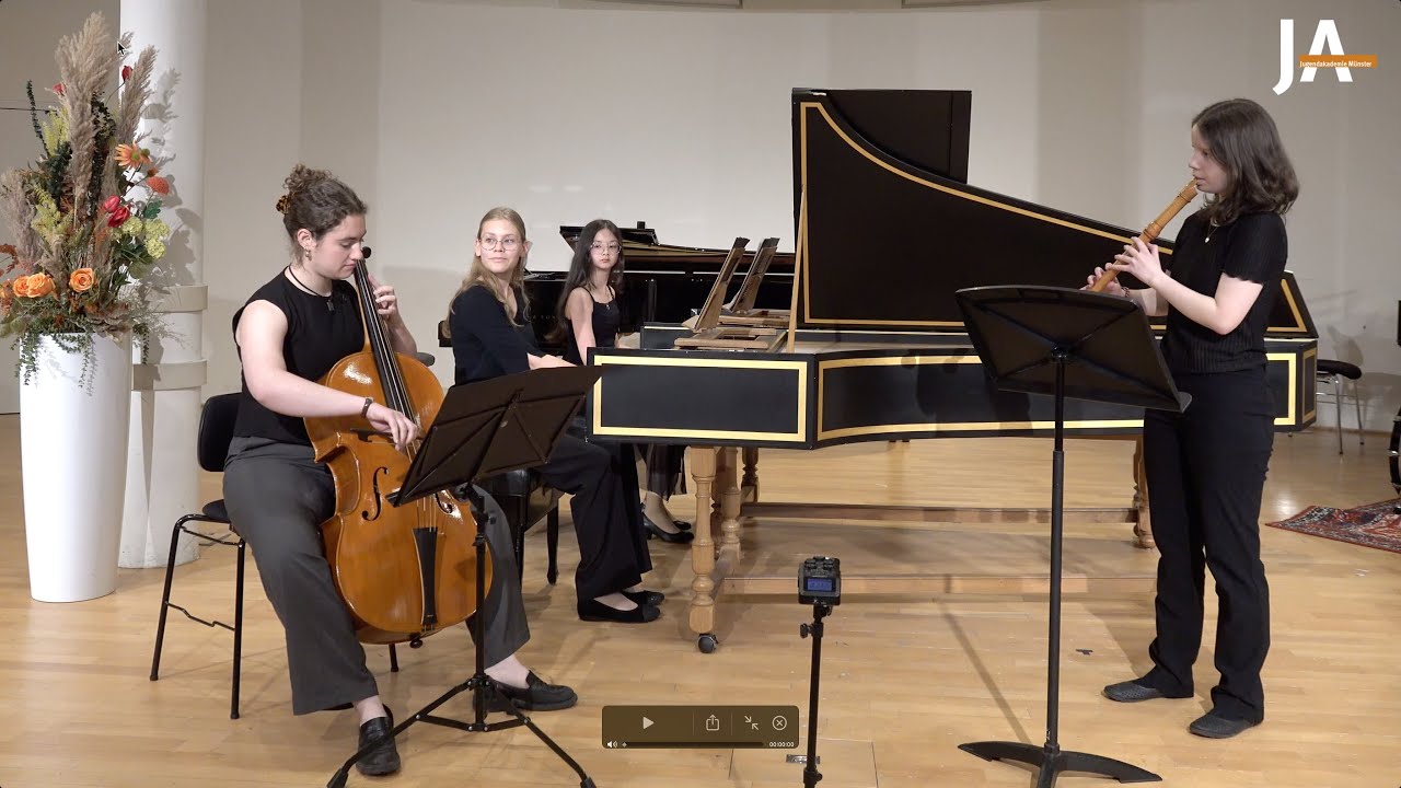 Georg Philipp Telemann: Concerto d Moll, II. Vivace