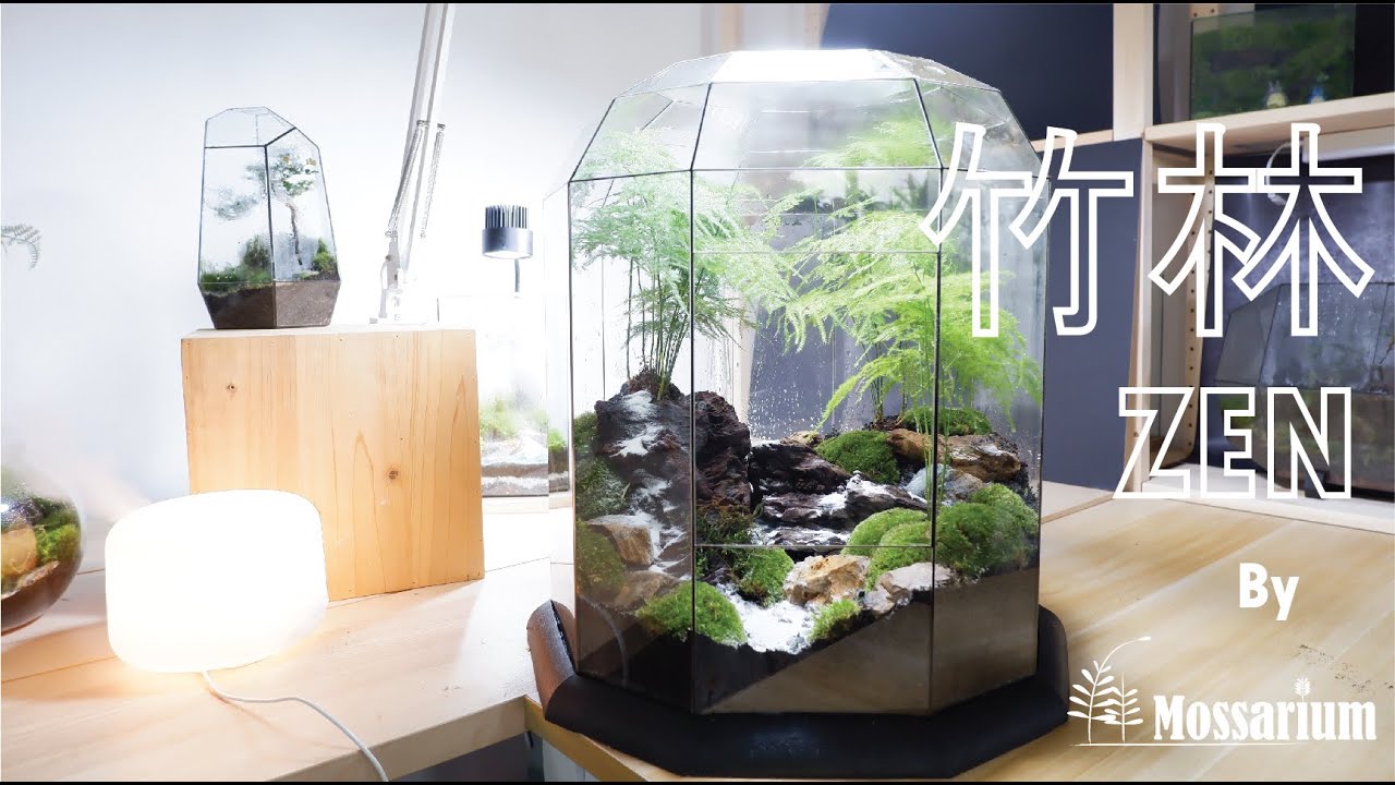 The Making of - Zen Bamboo Forest Terrarium