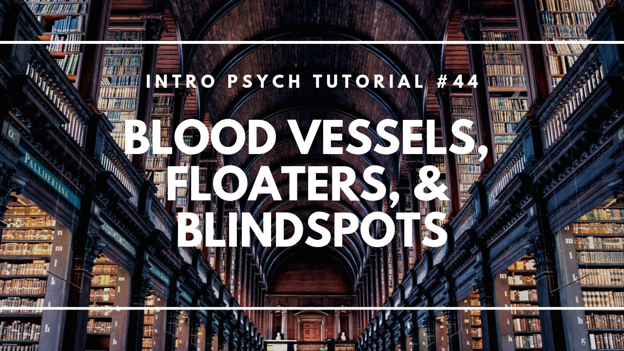 Blood Vessels, Floaters, and Blind Spots (Intro Psych Tutorial #44)