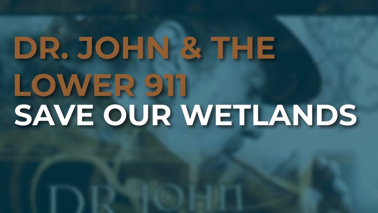 Dr. John & The Lower 911 - Save Our Wetlands (Official Audio)