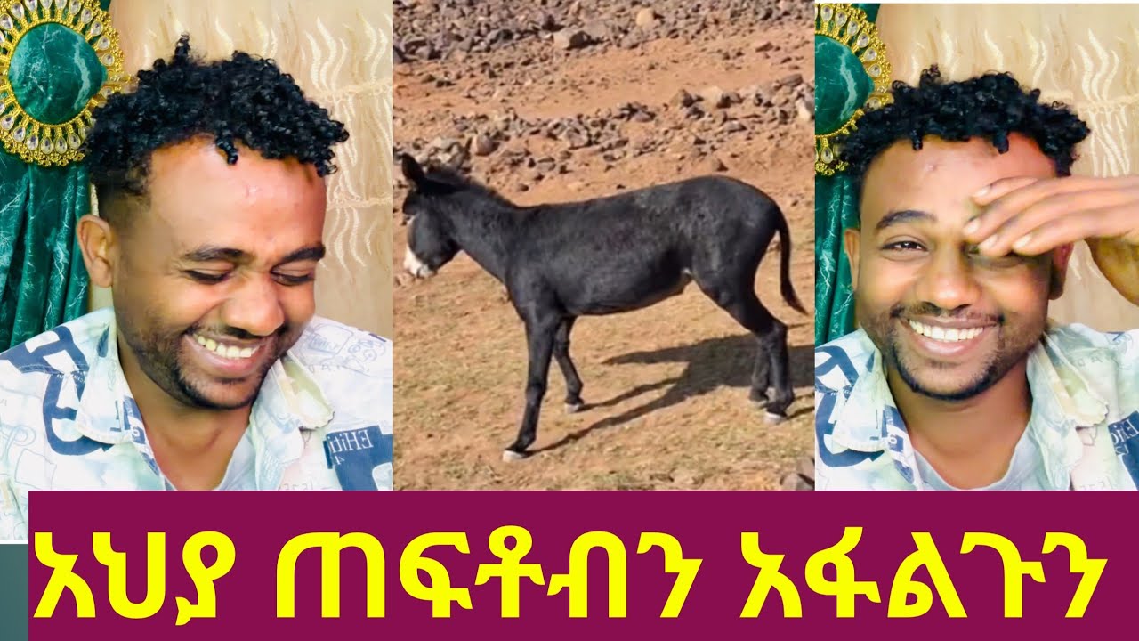 🔴አህያ ጠፍቶብን አፋልጉን ላይ ነን እባካችሁ ካያችሁ ጠቁመን🥰🙏