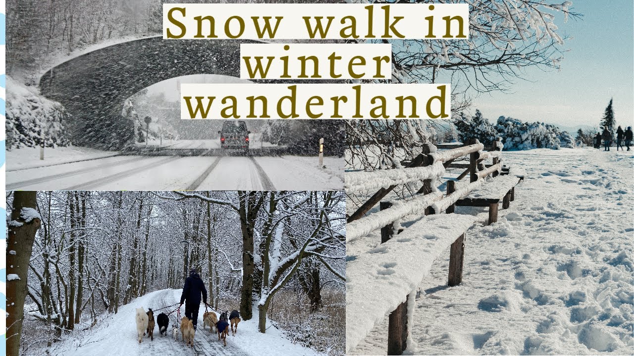 Winter Wonderland: A Snowy Walk in Ilmenau, Germany | -16°C