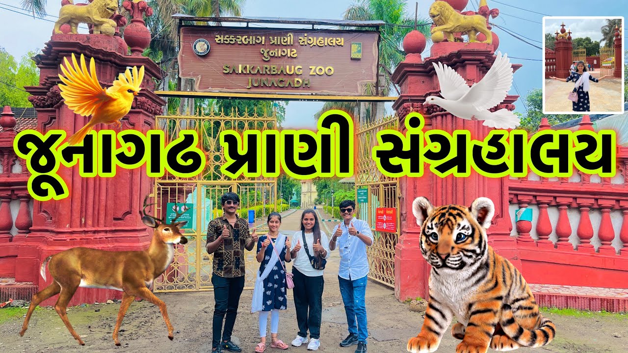 જૂનાગઢ પ્રાણી સંગ્રાલય🐒 ( સક્કરબાગ ) || Sakkarbaug Zoological Garden Junagadh || vlog