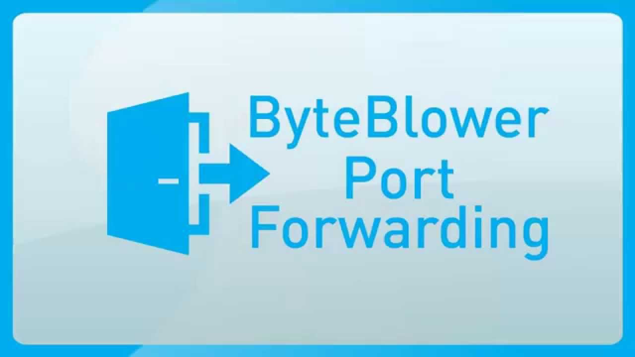 Testing port forwarding rules with ByteBlower