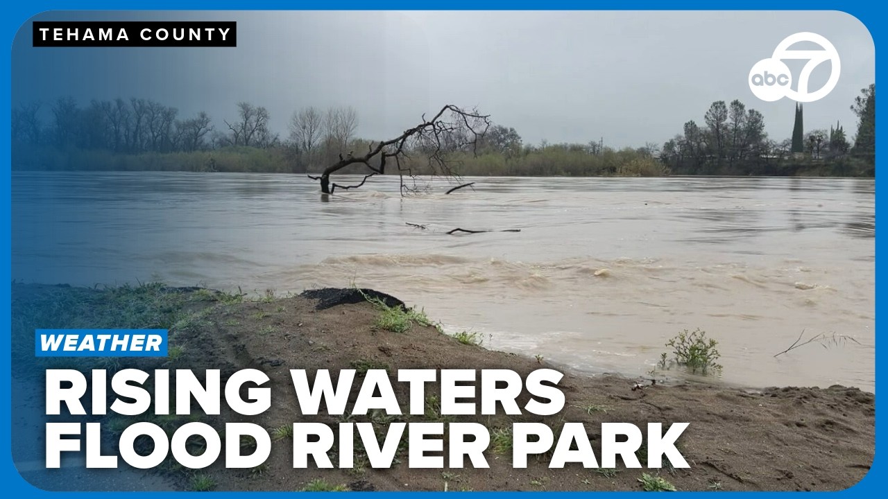 Поднявшийся уровень реки Сакраменто затопил часть парка Tehama County River Park возле моста Вудсон.