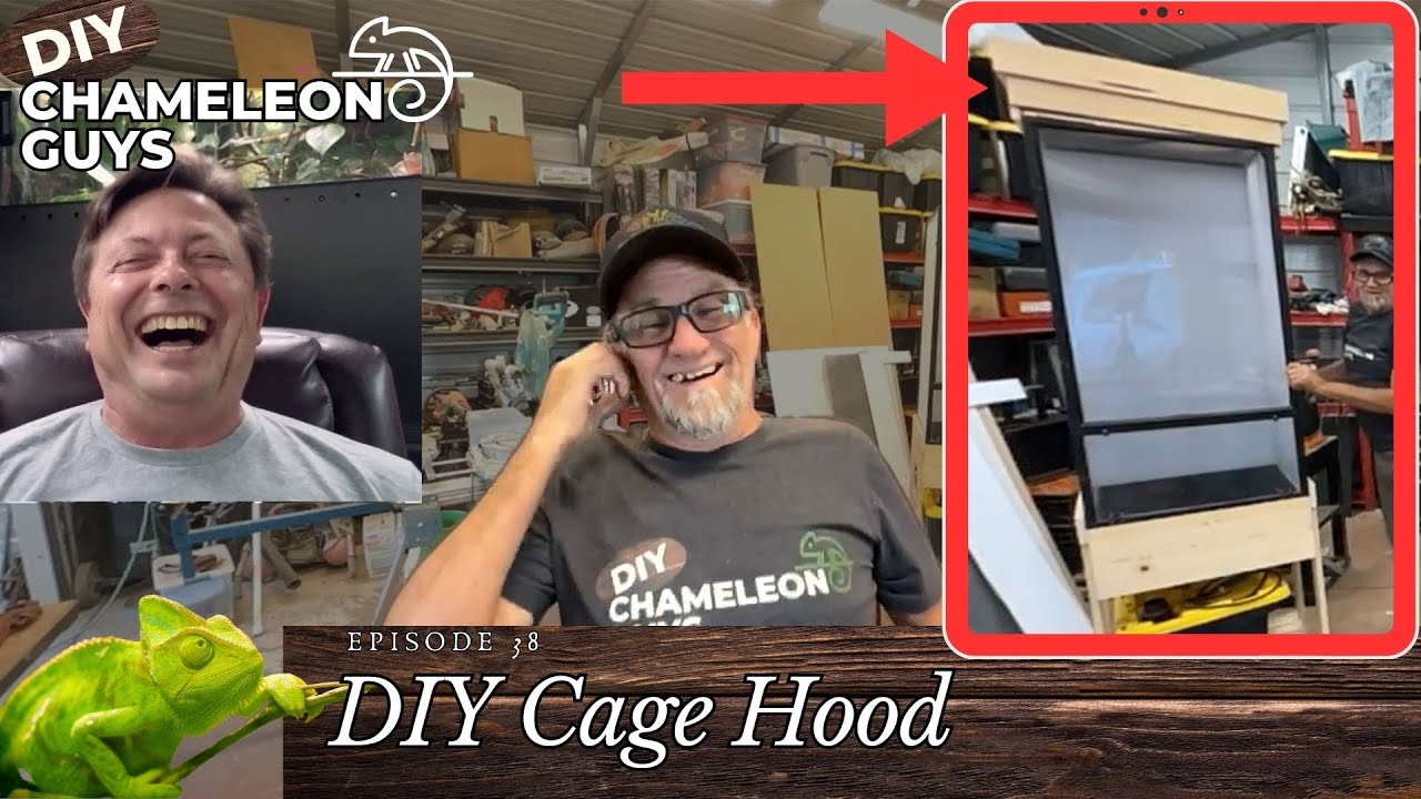 DIY chameleon cage hood!