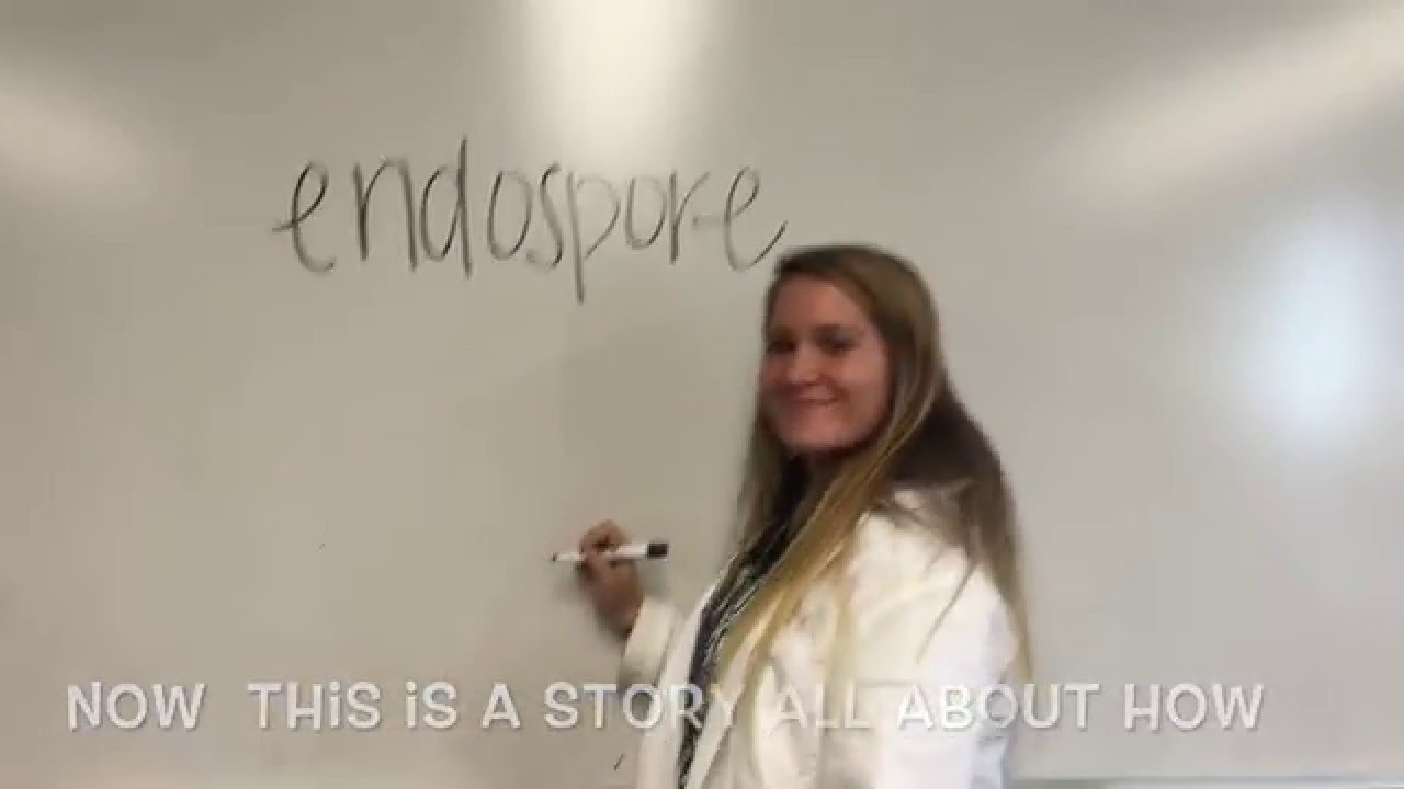 ENDOSPORE STAINING