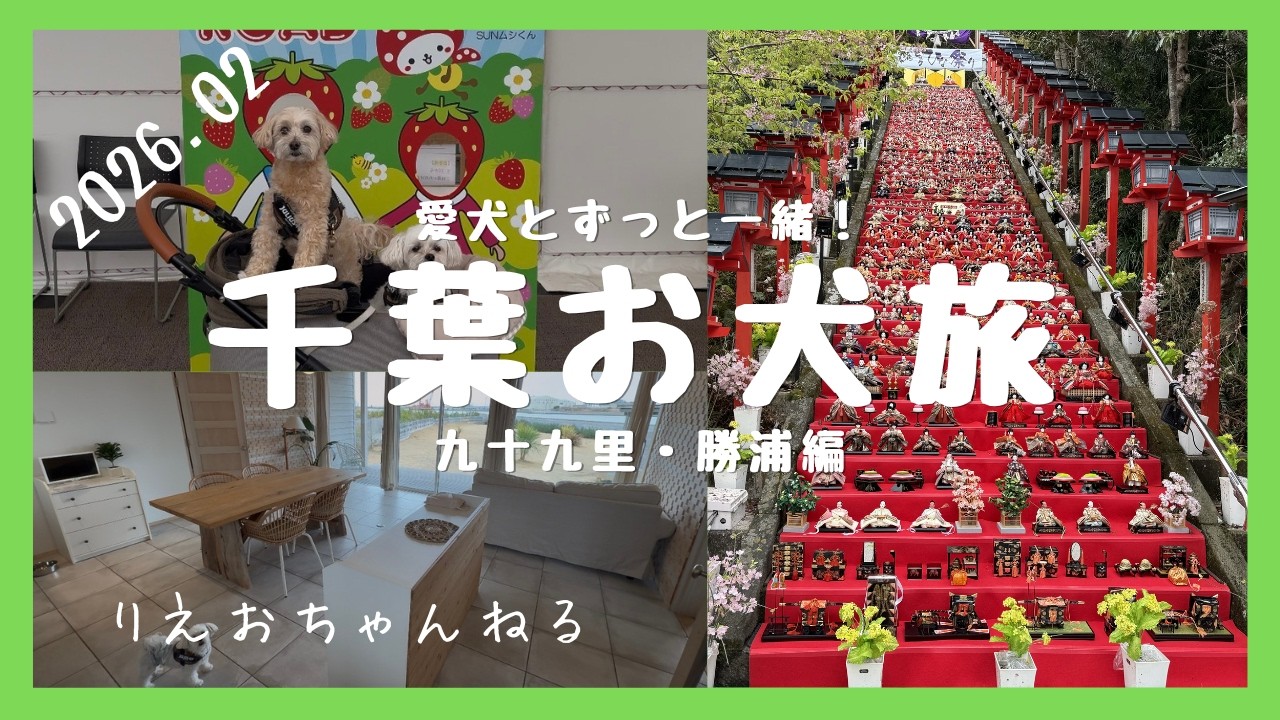 【千葉お犬旅】愛犬とずっと一緒！「海の音」に宿泊、海鮮にイチゴ狩り！千葉は犬連れに優しい！