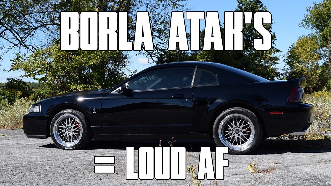LOUDEST Cobra EVER!?