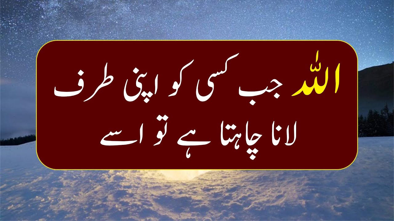 Best Islamic Quotes About ALLAH and His Mercy Part | ALLAH Quotes in Urdu | Quotes Diary #06