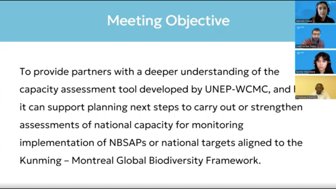 Assessing Capacity for NBSAP Monitoring: Introducing a Practical Tool