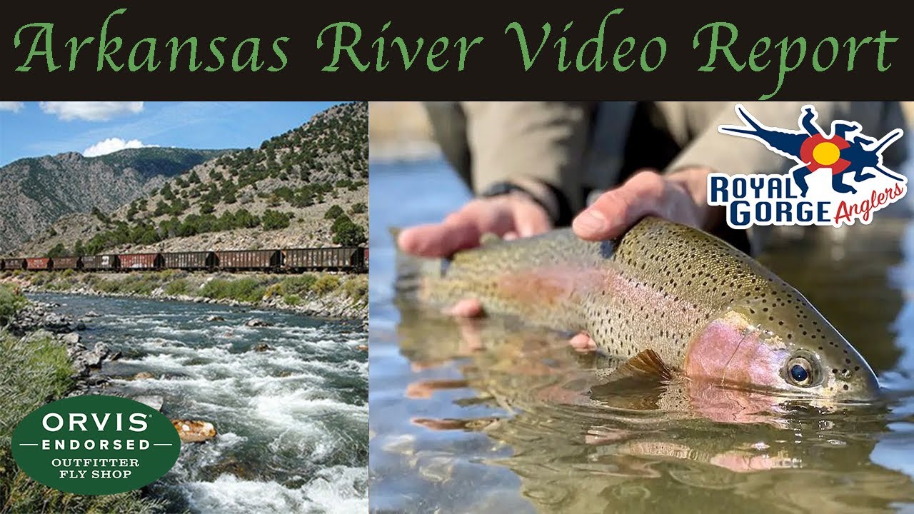 Fish'n in a Barrel & Early Summer Tactics on the Arkansas River