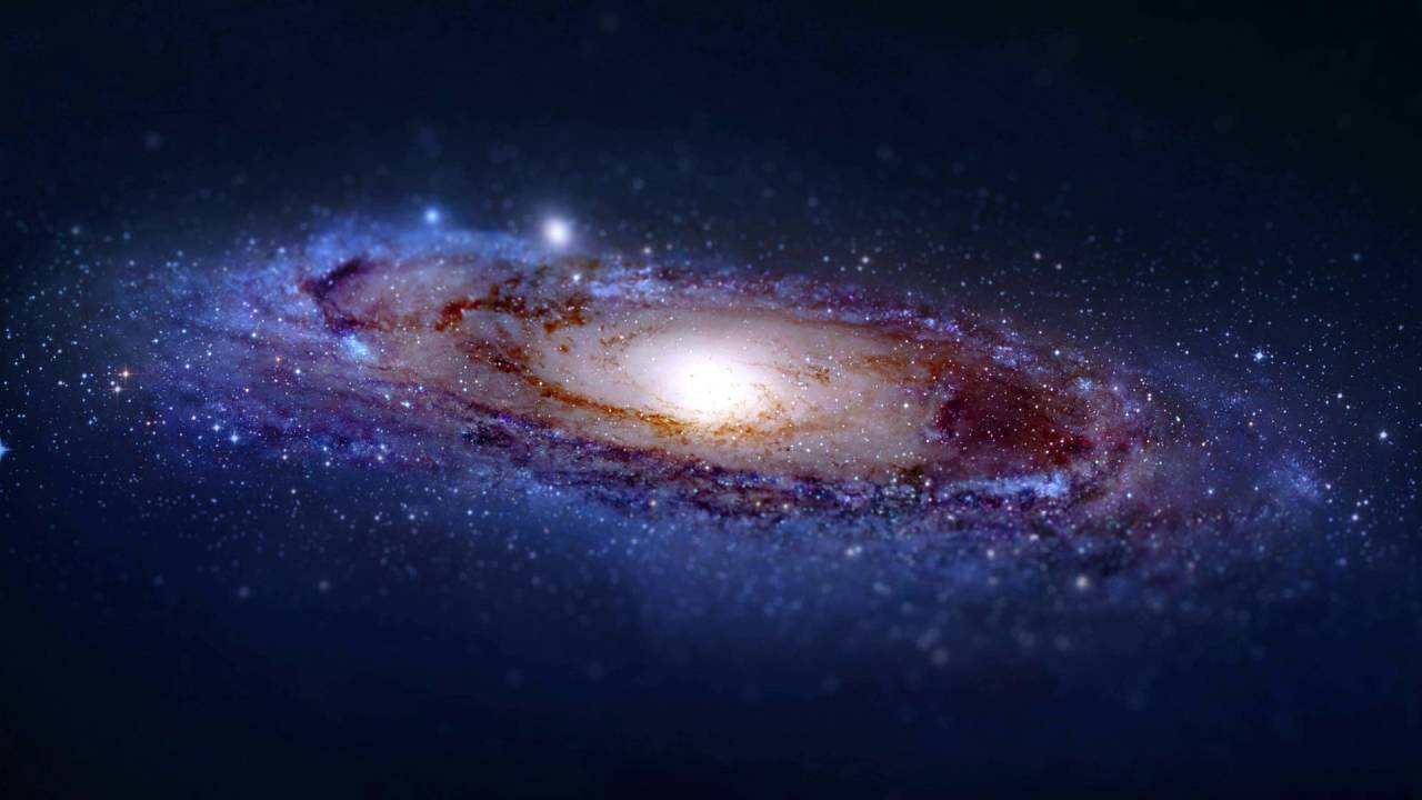 Xenofish - Made Out Of Stars ᴴᴰ