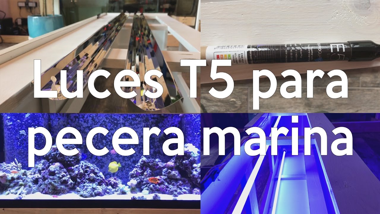 Luces T5 para pecera marina - LET Lighting Miro 4 Retrofit Kit