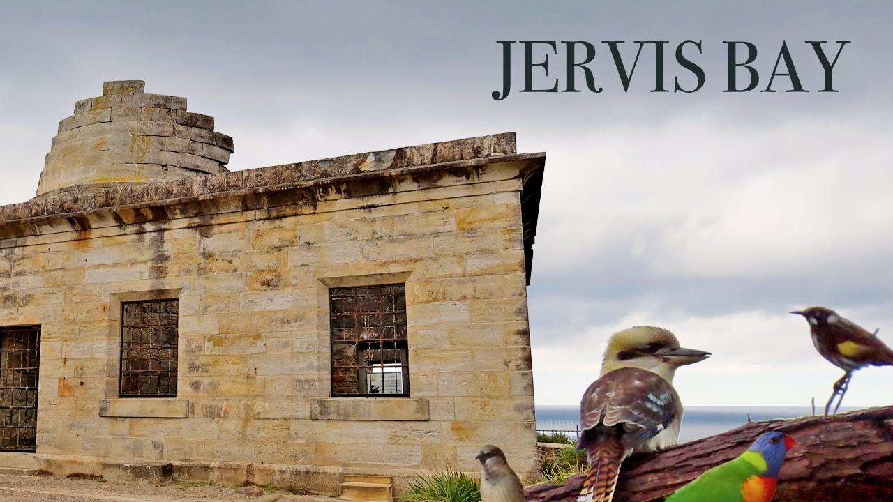 Jervis Bay's Extraordinary Wildlife & Three Historic Lighthouses, South Coast, New South Wales