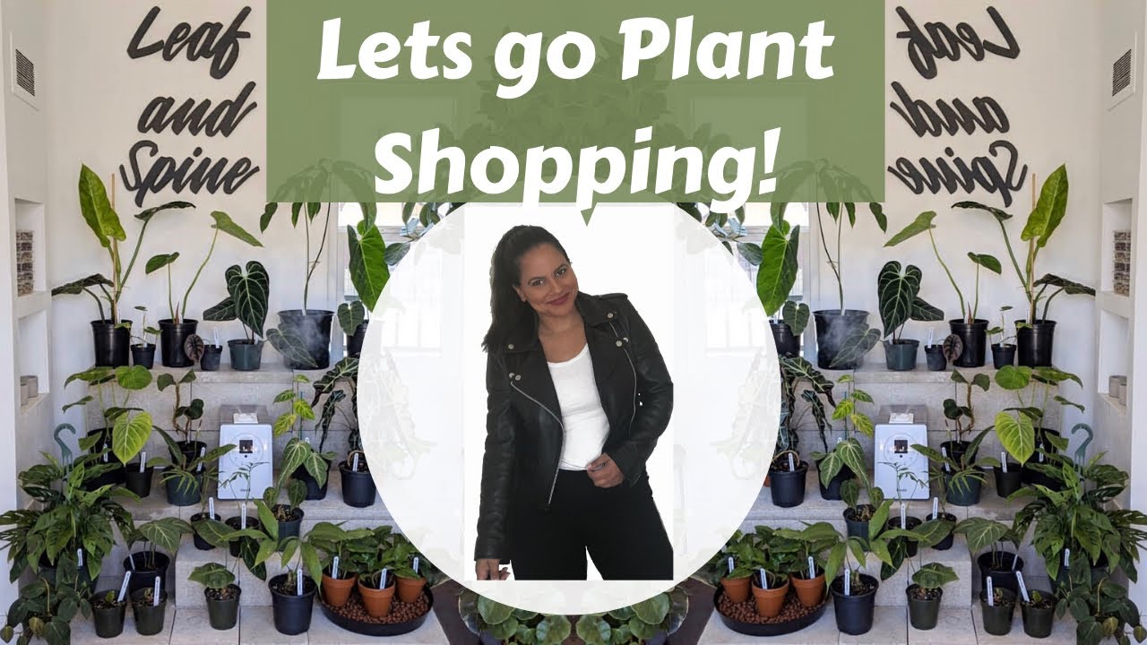Rare Plant Shop | Lets Go Houseplant Shopping in Los Angeles
