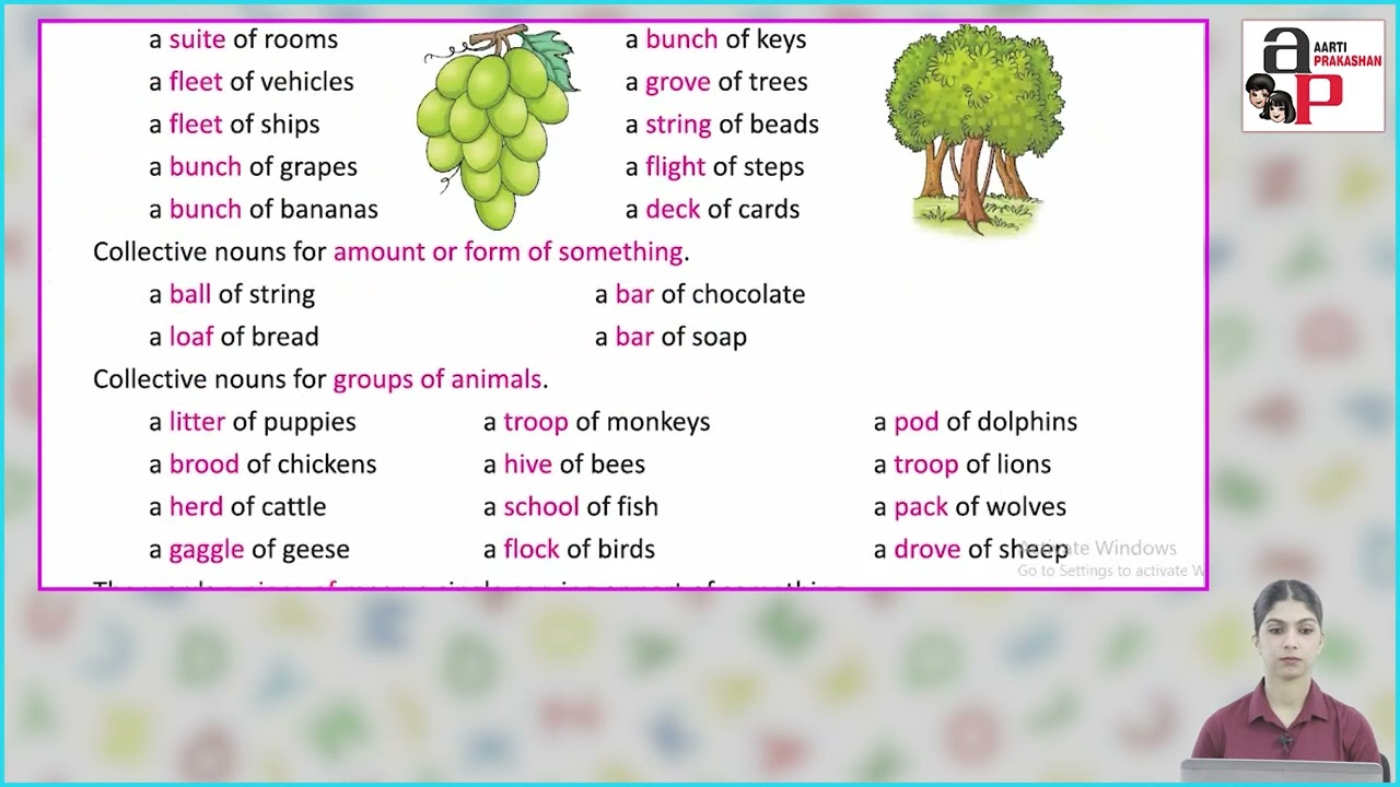 Ch 3 | Aarti Prakashan | Grammar | Class 6 | Nouns | For children