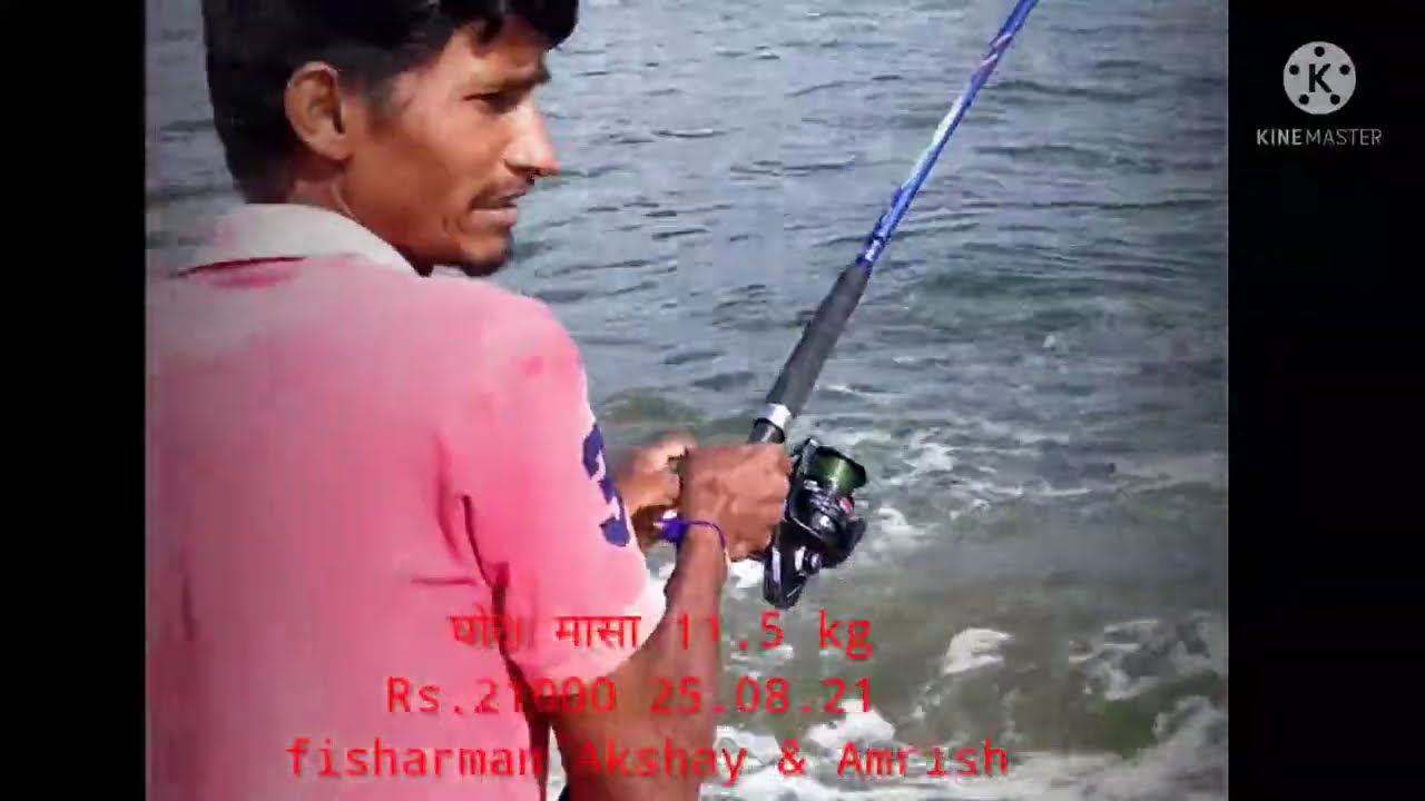 Ghol fish  || घोल् मासा || road fishing Guhagar borya 2021