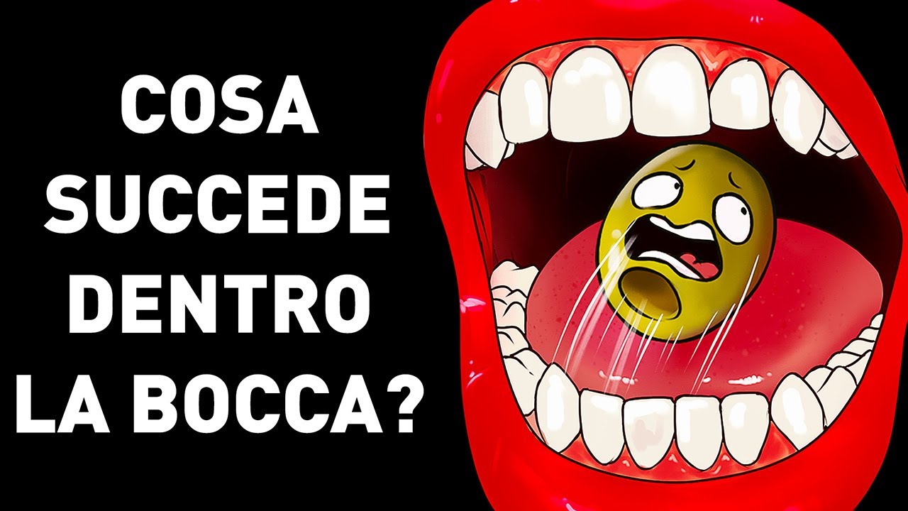 Un Viaggio All'Interno Della Bocca