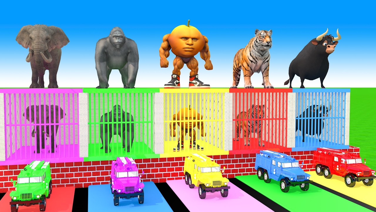 Long Slide Game With Elephant Gorilla Buffalo Hippopotamus Tiger - 3d Animal Game - Funny 3d Animals