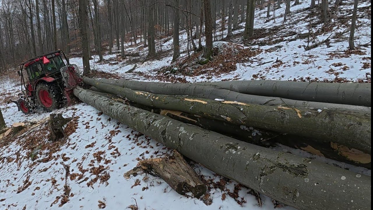 Лесозаготовка, продолжаем в новых порослях еще от снега, Амлес, Зетор Проксима, Работа в лесу